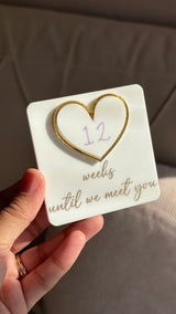 Whiteboard Weekly Pregnancy Countdown