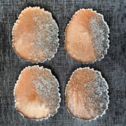 Rose Gold and Silver Foil Coasters CraftsbyNahima
